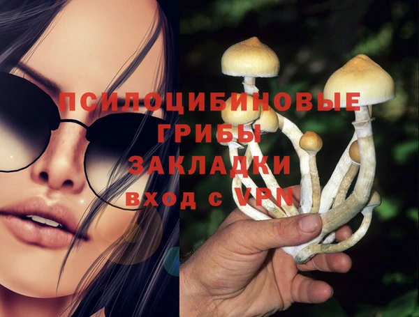 альфа пвп Касимов
